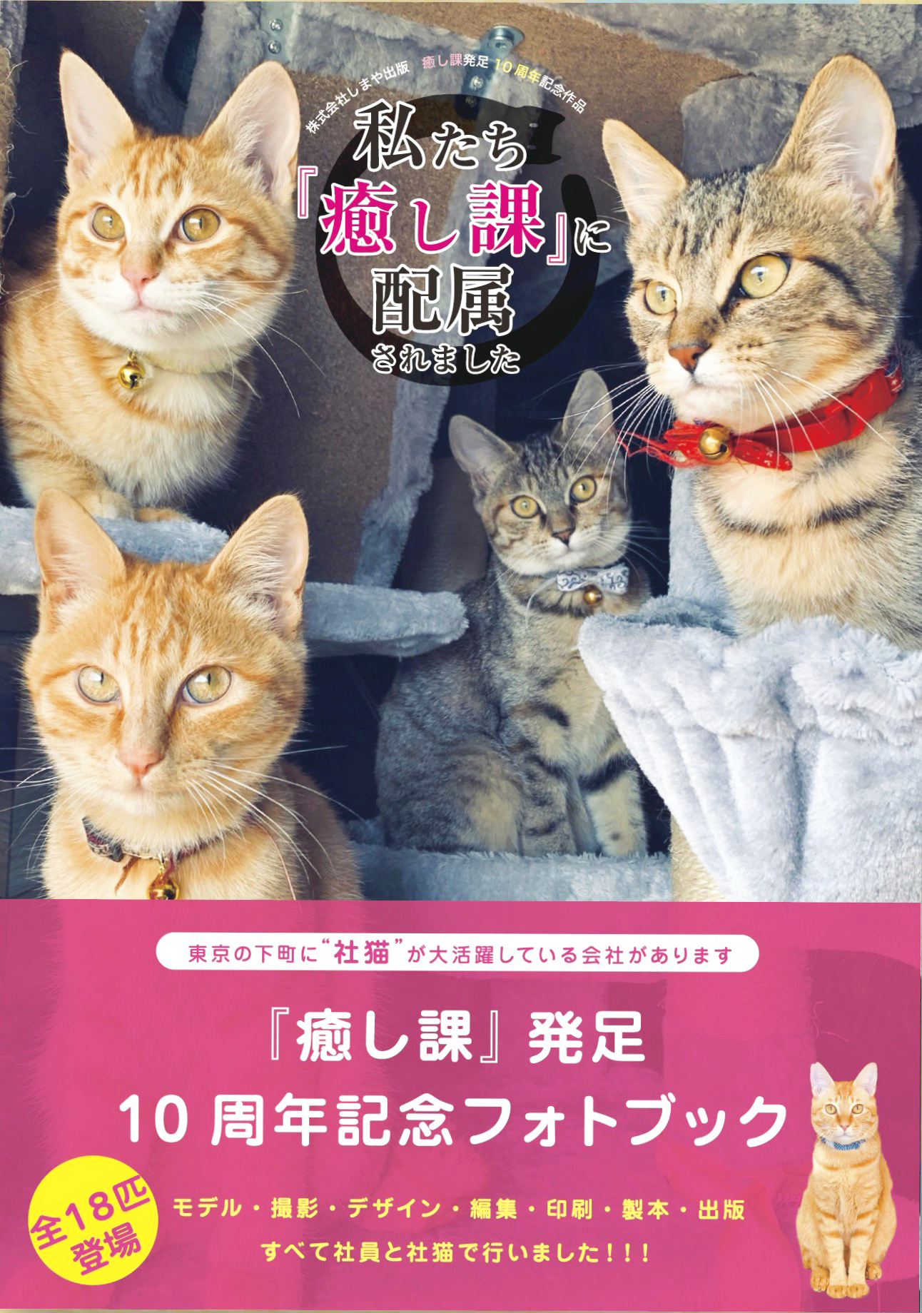 冬バーゲン☆】 25 x 約20 ポスター キジトラ 猫 cm 癒し B5サイズ