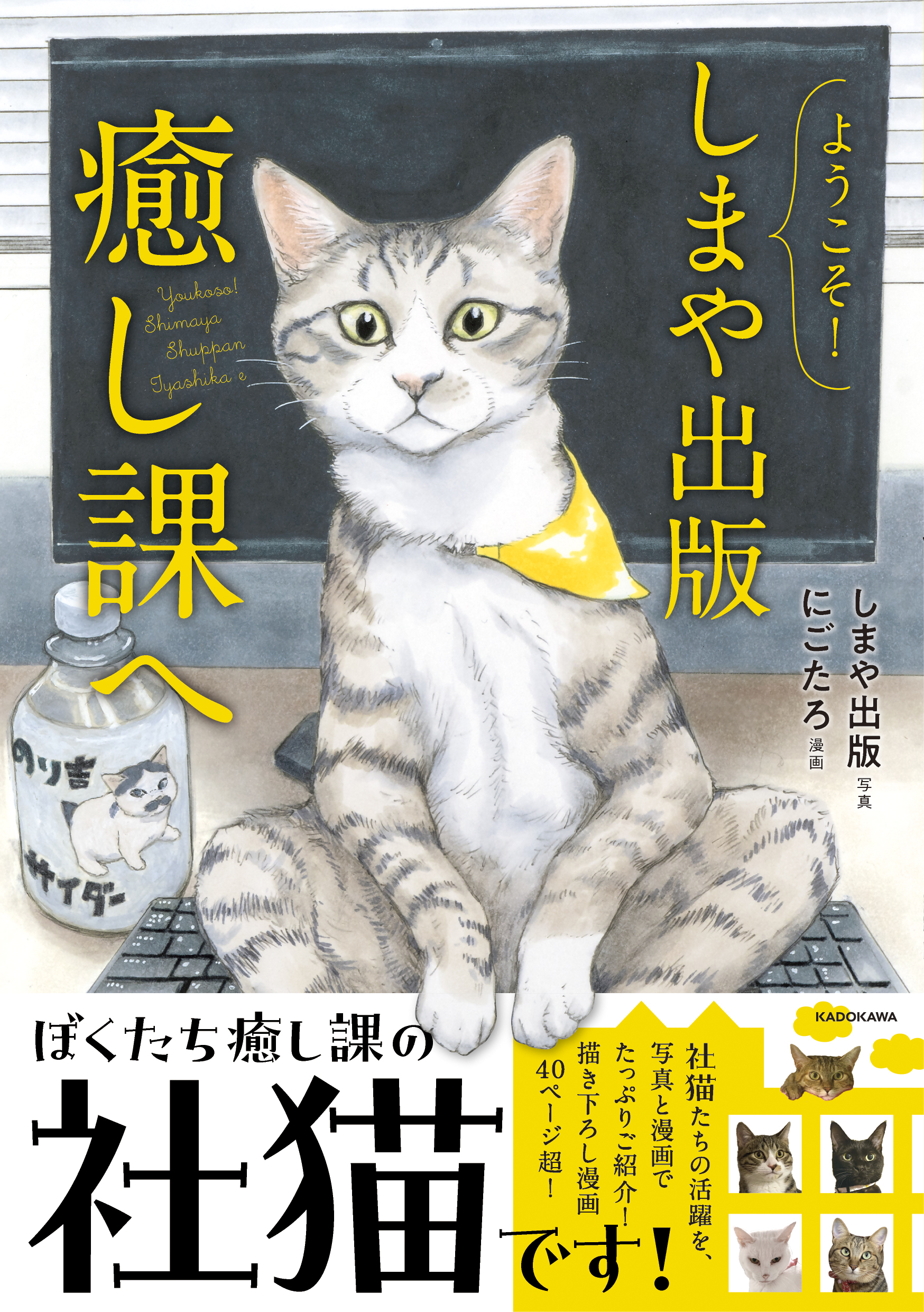 初虎さま　専用　おまとめ3本